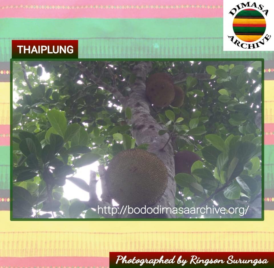 Thaiplung